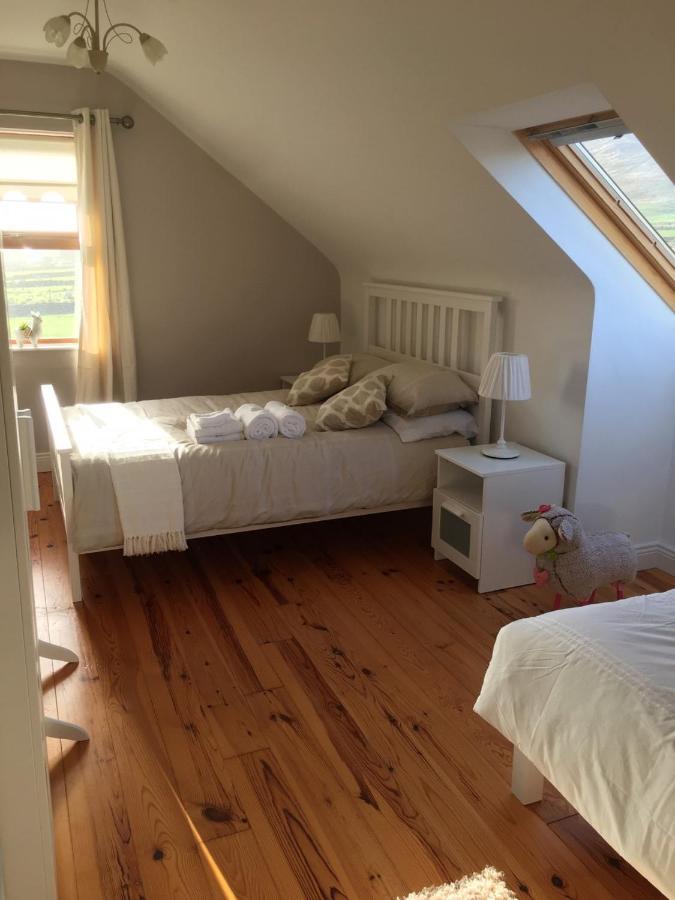 Bed and Breakfast Gort A Phump à Ballydavid Extérieur photo