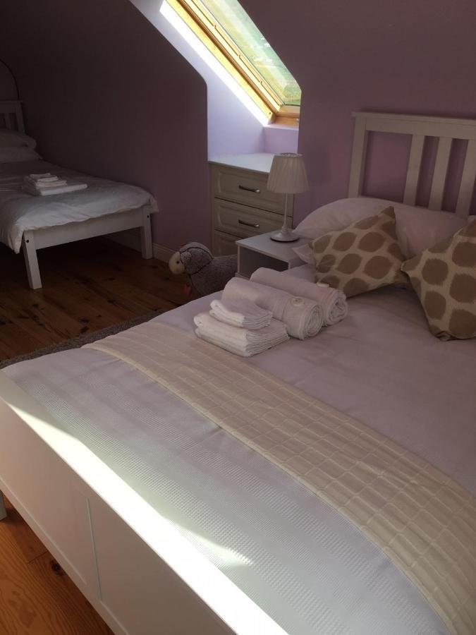 Bed and Breakfast Gort A Phump à Ballydavid Extérieur photo