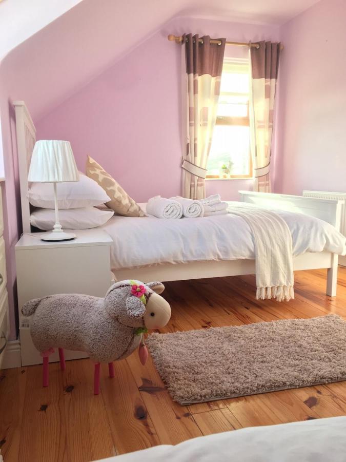 Bed and Breakfast Gort A Phump à Ballydavid Extérieur photo